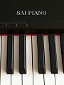 Sai Piano P-9BT-BK